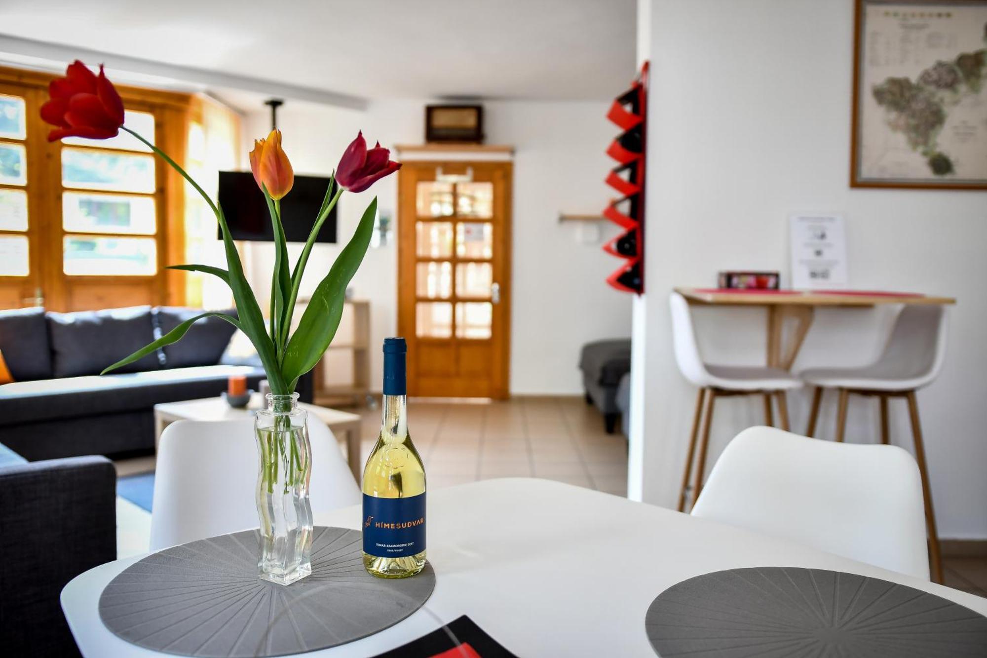Boralom Studio Apartman Токай Экстерьер фото