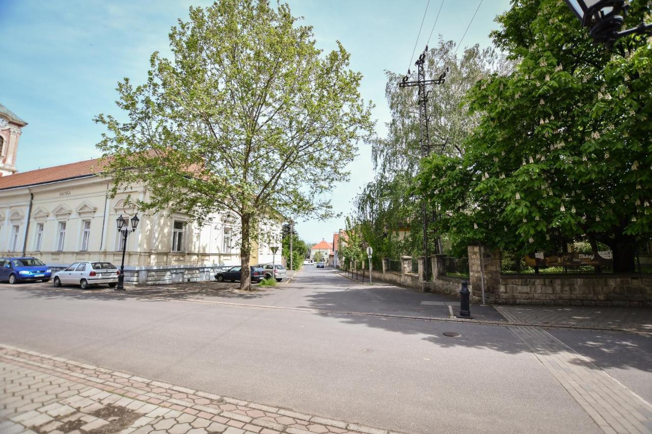 Boralom Studio Apartman Токай Экстерьер фото